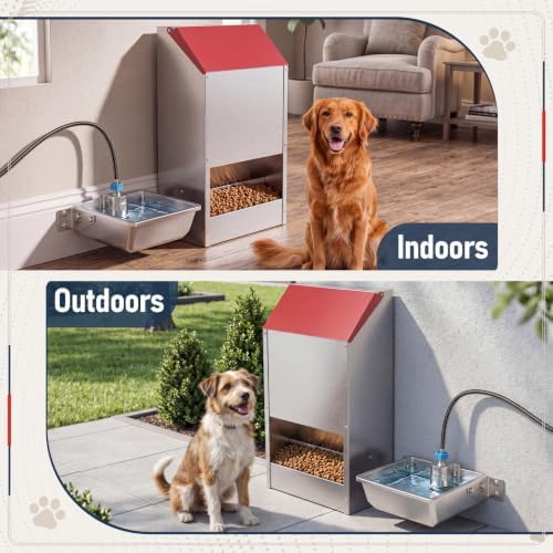 Mifoci Pre-Assembled 50 lb Automatic Dog Feeder & 1.6 Gal Water Bowl Set