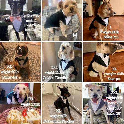 Dog Tuxedo for Large Dogs, Dog Suit and Bandana Set, Dog Costume Outfit - Image 6