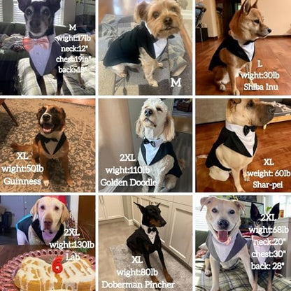 Dog Tuxedo for Large Dogs, Dog Suit and Bandana Set, Dog Costume Outfit - Image 6