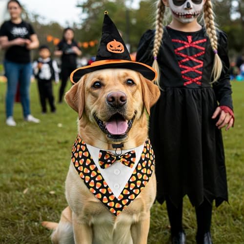 Halloween Candy Corn Dog Adjustable Tuxedo with Black Witch Hat Halloween Puppy Costume Set Halloween Carnival Theme Outfits for Cats Puppy Dog M - Image 3