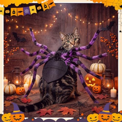 Huhumy Halloween Spider Costume with Safety Harness for Pets, Purple, S - Image 3
