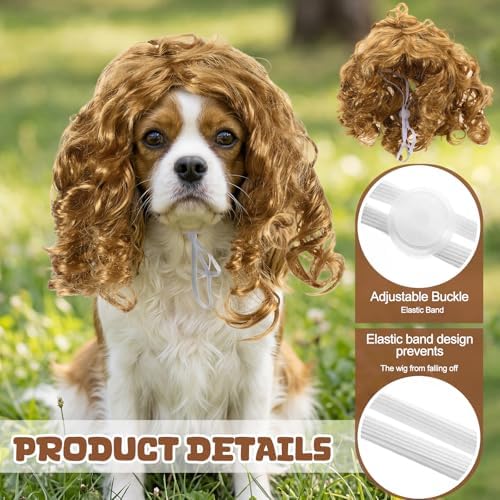 6 Pcs Funny Cat and Dog Wigs with Hairpin Glasses, Stylish - Image 4