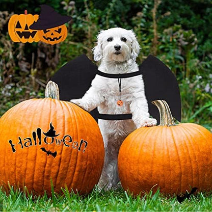 Vivifying Halloween Dog Bat Wings Costume with Pumpkin Bell, Medium, Black - Image 5