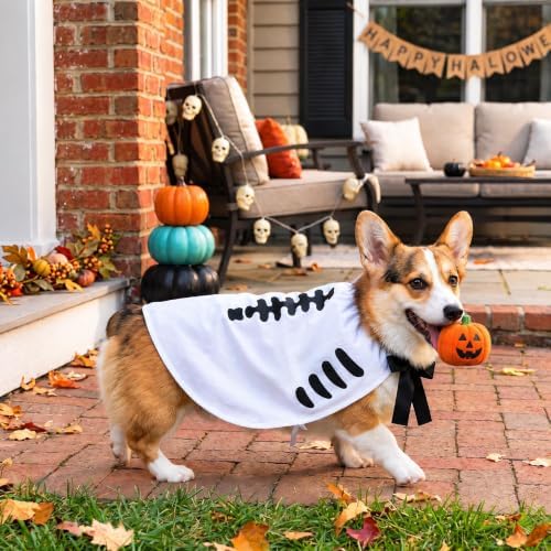 Halloween Skull Costume,Skeleton Dog Cape for Medium Large Pets(M) - Image 3