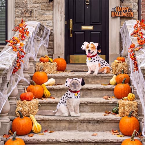 Newcotte 3 Pcs Dog Halloween Dalmatian Costume Set - Image 6