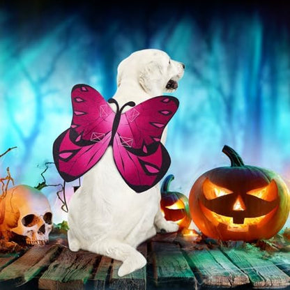 Butterfly Wings for Dogs Cats Dog Halloween Costume for Small Medium Large Dogs, Dog Cat Wing with 3PCS Flowers Pet Cosplay Costumes for Christmas Birthday Parties Puppy Clothes Outfit - Image 5