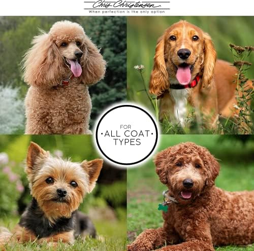 Chris Christensen Karben I Slicker Brush for Dogs, Groom Like a Professional, Ideal For All Coat Types, Remove Shedding Coat, Tangles and Dead Undercoat, 17 mm Stainless Steel Pins, Extra Small - Image 5