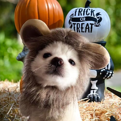 NAMSAN Pet Lion Costume for Cats Small Dogs Rabbits, Halloween Cat Lion Mane, Small Dog Wig Lions King Hat, Halloween Cat Lions Outfit for Holiday Party Cosplay Statue Decoration - Image 2