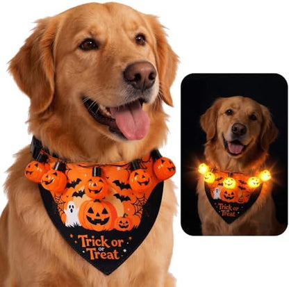Dog Halloween Costumes, Light Up Pumpkin Pet Halloween Bandanas, Medium by Unknown