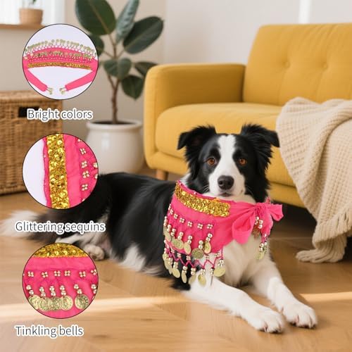 Dog Belly Dancer Skirt, Bling Belly Dance Hip Scarf for Corgis Dog - Image 4