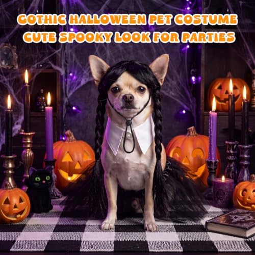 Dansydaisy 3 Pcs Black Halloween Dog Costume Set with Twin Ponytail Wig - Image 5