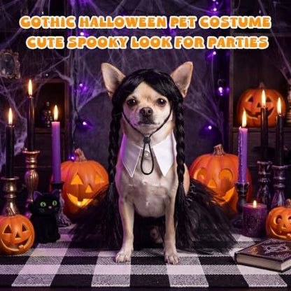 Dansydaisy 3 Pcs Black Halloween Dog Costume Set with Twin Ponytail Wig - Image 5
