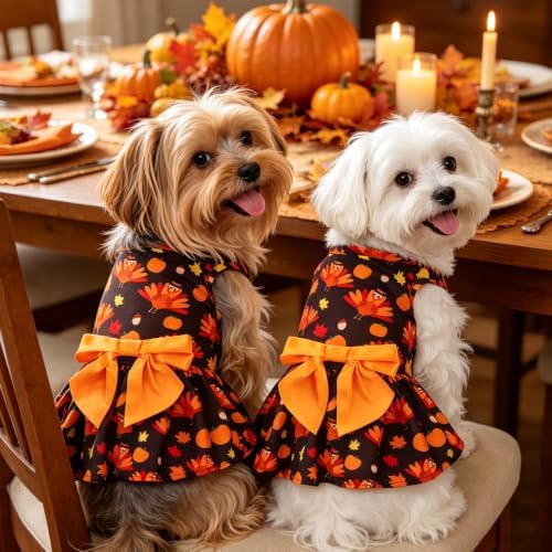 PUPTECK Thanksgiving Dog Dress with Bowtie, Orange Turkey Pumpkin Print, M - Image 5