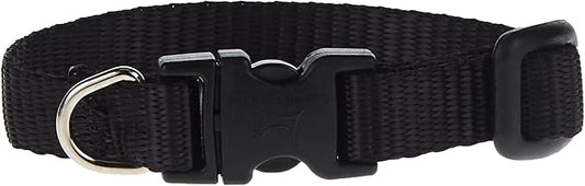 LupinePet Basics 1/2" Black 6-9" Adjustable Collar for Extra Small Dogs