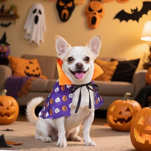 NAMSAN Pet Wizard Costume for Cats Small Dogs Rabbits, Halloween Cat Witch Cape, Stand-Up Small Dog Vampire Cloak, Halloween Pumpkin Cat Outfit for Holiday Party Cosplay Statue Decoration - Image 6