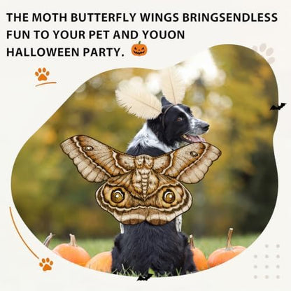 Tallew 2 Pcs Dog Halloween Costumes Moth Butterfly,L,Grayish White - Image 4