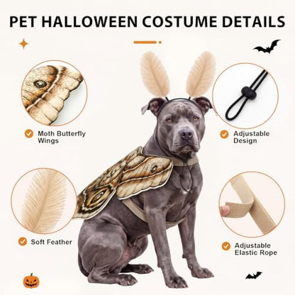 Tallew 2 Pcs Dog Halloween Costumes Moth Butterfly Wings,M,Grayish White - Image 3