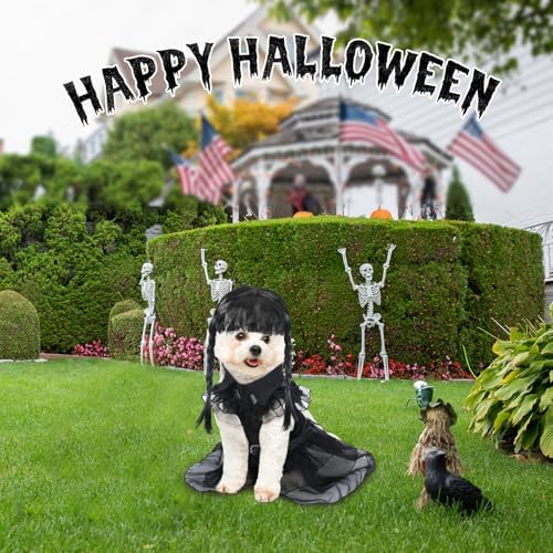 Coume 3 Pcs Halloween Dog Costumes for Dog with Belt and Wig, M - Image 4