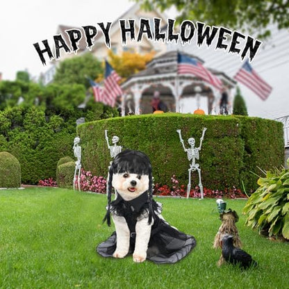 Coume 3 Pcs Halloween Dog Costumes for Dog with Belt and Wig, M - Image 4
