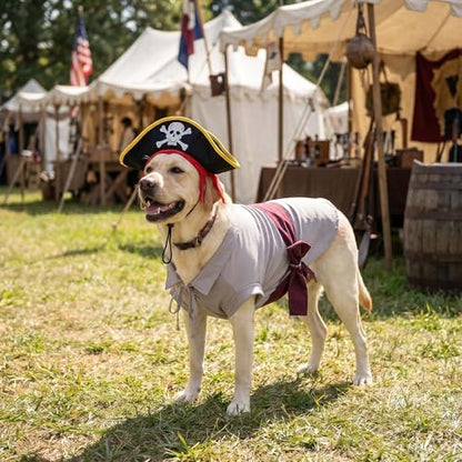 FLAdorepet Halloween Large Dog Renaissance Pirate Costume Shirt and Hat,5XL - Image 2