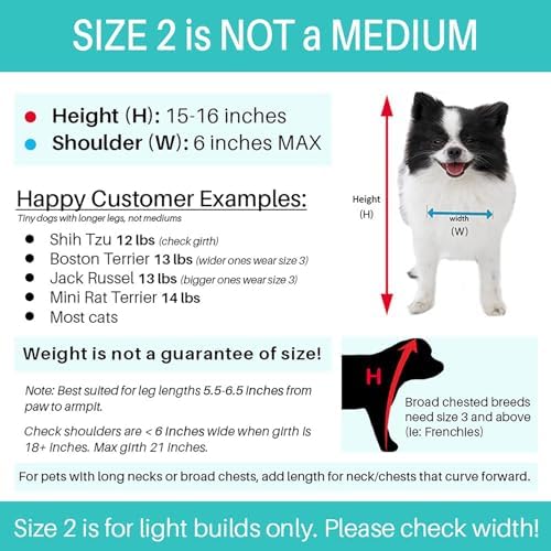 Pandaloon Dog Halloween Costume - As Seen on Shark Tank - Patented - Funny Costume with Arms for Small and Medium Dogs and Cats (Teddy Bear, Size 2(15-16 in Height at TOP of Head,Girth<16 in)) - Image 4