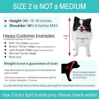 Pandaloon Dog Halloween Costume - As Seen on Shark Tank - Patented - Funny Costume with Arms for Small and Medium Dogs and Cats (Teddy Bear, Size 2(15-16 in Height at TOP of Head,Girth<16 in)) - Image 4