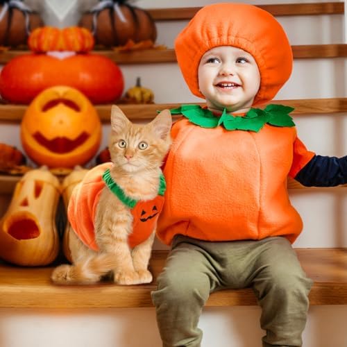 PETCARE Funny Pumpkin Dog Halloween Costume Pet Dog Cat Thick Plush Pumpkin Decoration Shirt Clothes for Small Medium Dogs Cats Puppy Cute Halloween Party Cosplay Dress Up Outfits - Image 4
