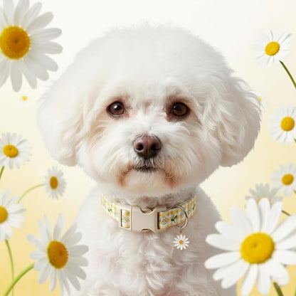 Cute Dog Collar, Yellow Plaid Dog Collar with White Floral Pattern, Spring Summer Design Floral Collar for Girls Boys Extra Small Dogs, Yellow Checkered Daisy, XS