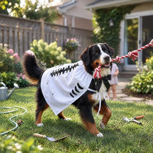 Halloween Skull Costume,Skeleton Dog Cape for Medium Large Pets(XL) - Image 3