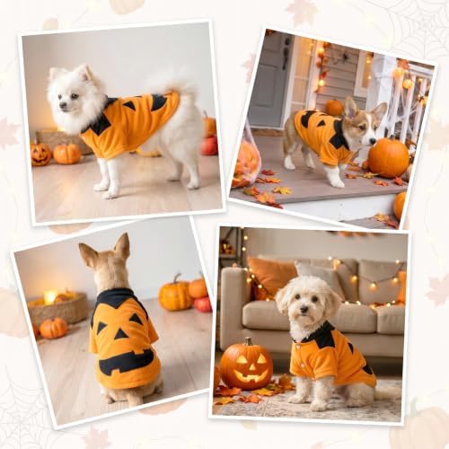 Halloween Funny Dog Pumpkin Costume for Small Dogs Halloween Outfit (S) - Image 7