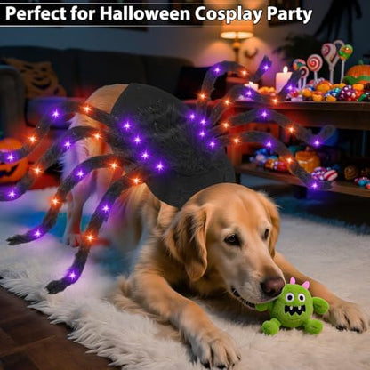 Halloween Light up Spider Dog Costumes for Small Medium Large Dogs - Image 5