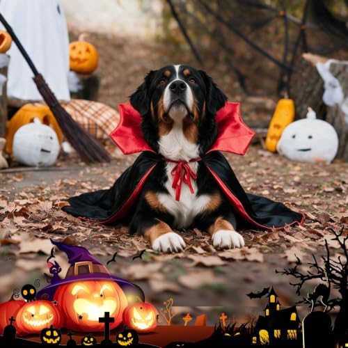 Halloween Dog Vampire Cloak Costume for Large XL Dogs, Black Red - Image 6