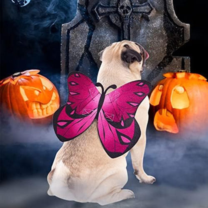 Dog Halloween Costumes Butterfly Wings Cat Dog Costume Fairy Wings Clothes - Image 6