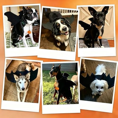 Dog Bat Wings Costumes for Dogs Halloween Party Pet Outfit Black M - Image 2