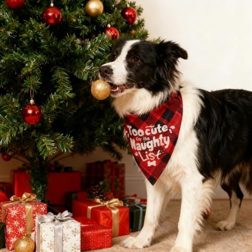 Christmas Dog Bandanas Naughty & Nice Idea Funny Holiday Stocking Pet Scarf Gifts - Too Cute for the Naughty List, Red Plaid, Extra Large Breed, 75lbs+ - Image 5