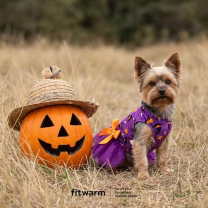 Fitwarm Witch Hat Halloween Dog Tutu Dress, Spooky Halloween Costumes for Small Girl Dogs, Funny Pet Outfit, Black, Purple, Orange, Small - Image 4