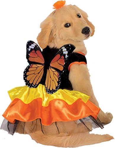 Rubies Monarch Butterfly Pet Costume for Dogs or Cats, Small by Rubies