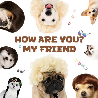 6 Pcs Funny Cat and Dog Wigs with Hairpin Glasses, Classic - Image 6
