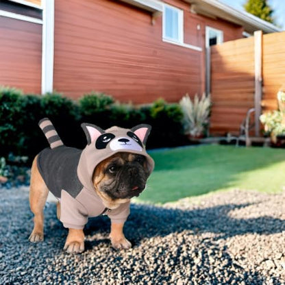 iChoue English Bulldog Halloween Raccoon Costume Clothes Hoodie Outfit, XXL - Image 4