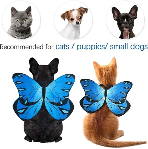 Butterfly Wings Costume for Small to Large Dogs & Cats - Halloween - Image 6