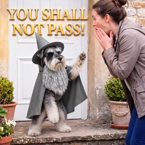 3 Pcs Halloween Pet Wizard Costume for Small Dogs Cats Kitten Puppy Cosplay Outfit Gray Polyester Halloween Party (L) - Image 5