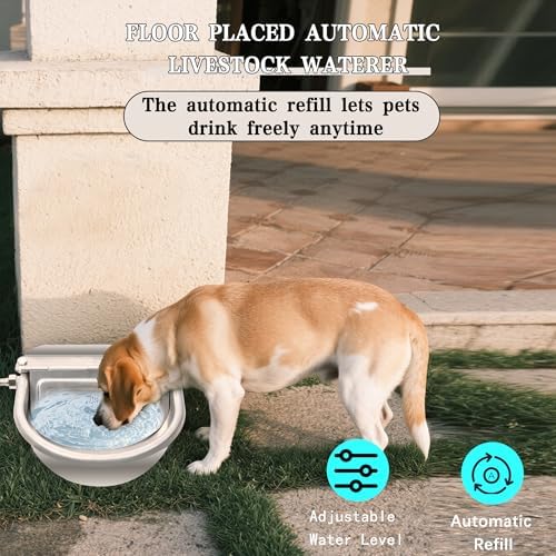 Automatic Dog Water Dispenser, Outdoor Chicken Waterer with Drain Valve, Easy Cleaning, Stainless Steel Auto Livestock Water Bowl with Float Valve, Self Drinking Trough for Horse (1 Gallon)