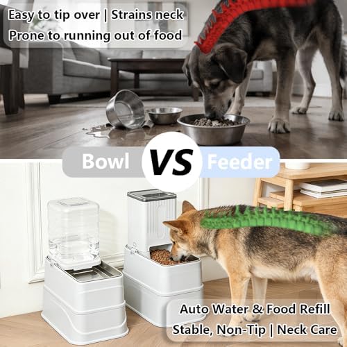 Elevated Automatic Pet Feeder & Water Dispenser, 128 Fl Oz/1 Gallon Water & 4.4lb Food Capacity, Stainless Steel Bowl, 2-Level Height Adjustable, Neck Protection for Small/Medium Dogs,Anti-Choking