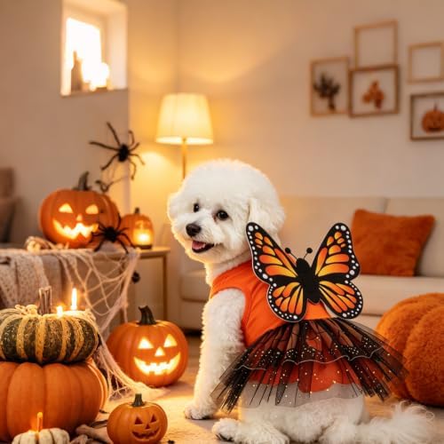 EXPAWLORER Dog Halloween Dress Costume in Non-Woven Tulle & Butterfly Wings - Image 6
