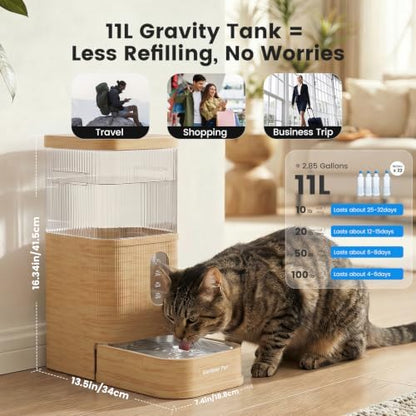 2.9 Gallon Automatic Dog Water Dispenser with Stainless Steel Bowl
