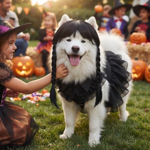 Coume 3 Pcs Halloween Dog Costumes for Dog with Belt and Wig, XL - Image 5