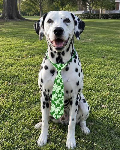 PET SHOW 10 Pack Paisley Dog Ties Neckties XL for Extra Large Dogs - Image 6