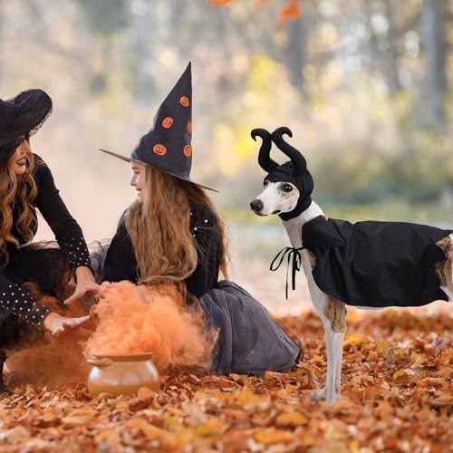 Witch Costume - Dog & Cat Halloween Cloak & Hat with Devil Horns & Vampire Teeth - Small & Medium Sizes - Image 2