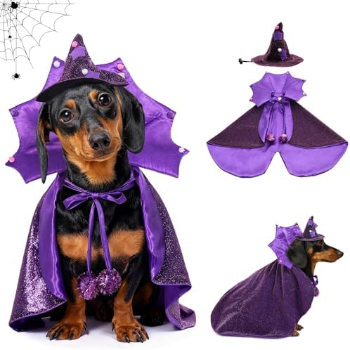 Small Dog Halloween Costumes, Dog Witch Costume Wizard Hat and Cape, Corgi Dachshund and French Bulldog Funny Cute Puppy Costumes with Adjustable Straps for Small Medium Dogs and Cat (S) by Unknown