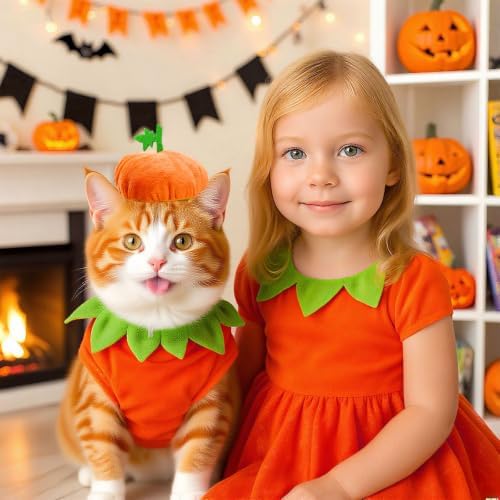 ABRRLO Funny Dog Pumpkin Costume Small Dog Cat Halloween Costumes Boy Girl Cute Halloween Dogs Shirt with Leash Ring Pumpkin Hat Puppy Cosplay Outfits Pet Party Clothes Apparel Yorkie Chihuahua(L) - Image 5